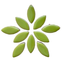 Ceramic Petals 25mm Kiwi