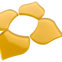 Grote Visschub Maïs