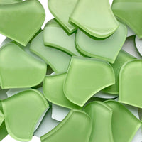 Escama de Pez Mediana Verde Fresco