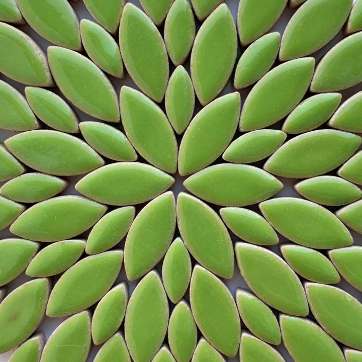 Bloemblaadjes - mosaicshop