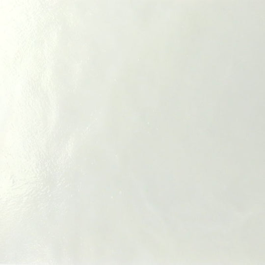 Placa de Vidrio Niebla