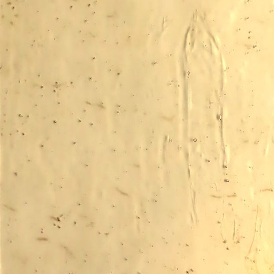 Glass Plate Champagne Antique Glass