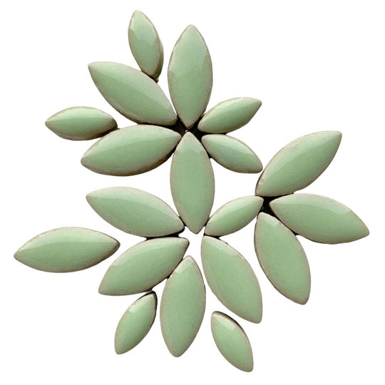 Bloemblaadjes Pepermunt