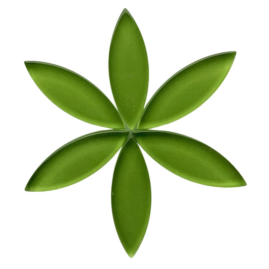 Pétale Moyen Citron Vert