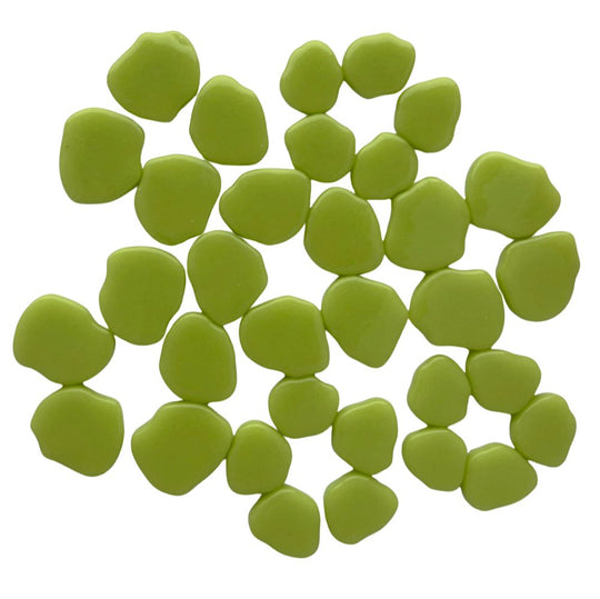 Sakura Bloesem Nieuwgroen