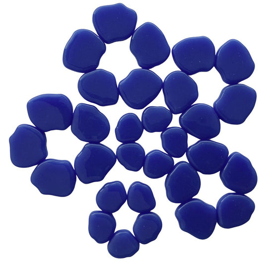 Sakura Bloesem Warmblauw