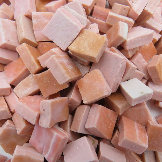 Perdomo Smalti Coral #2