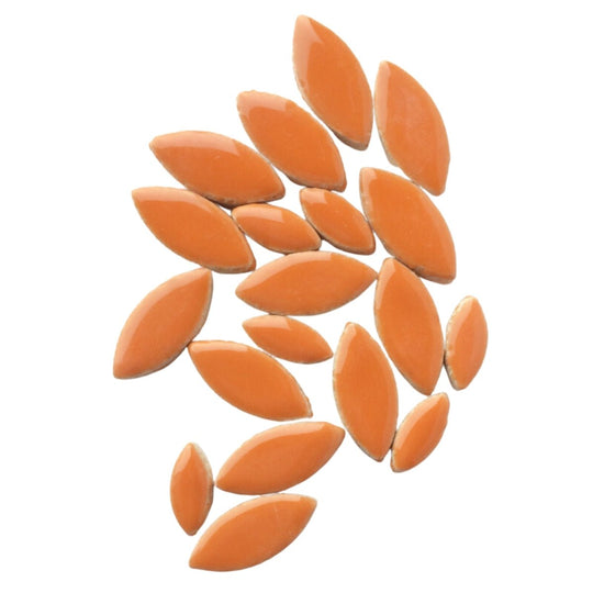 Bloemblaadjes Oranje