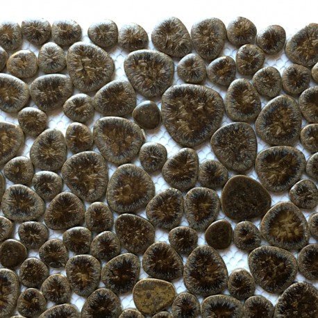 Kieselmosaik  Wüstenrinde