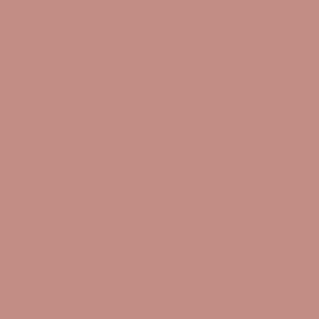 Mosa-18980 Zeeschelp Roze 15cm